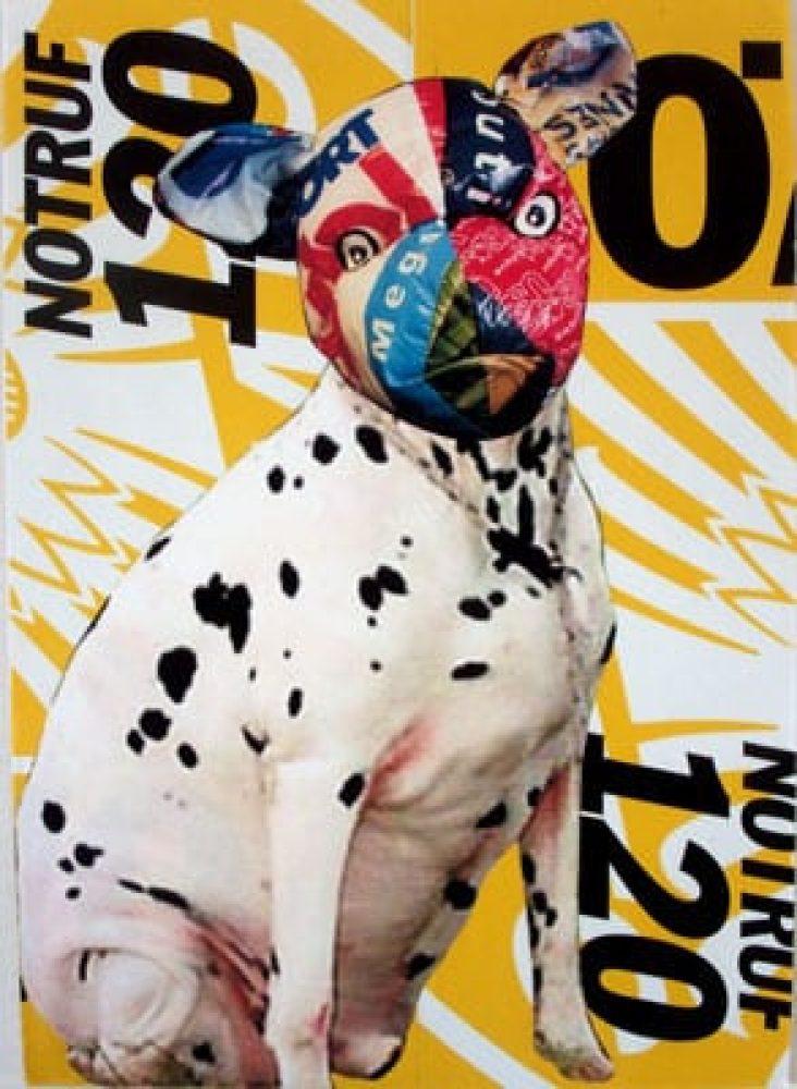 Collage featuring a spotted dog-like figure surrounded by colourful text and graphic elements.