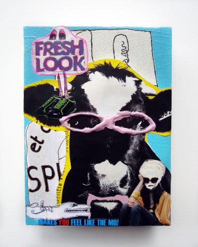 Fresh Look 2008 - 22 x 16 x 9 cm